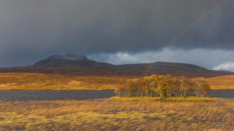 Old road bridge over Unapool Burn