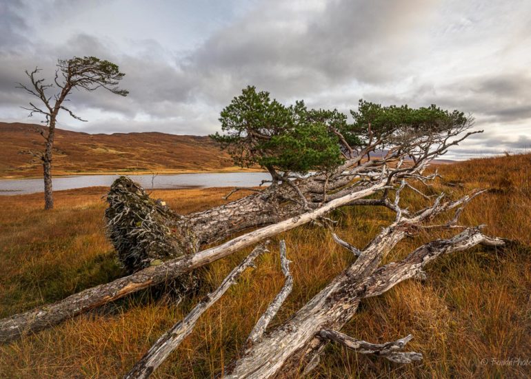 Entering loch Broom in the direction of Ullapool, Wester Ross