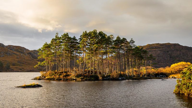 Old road bridge over Unapool Burn