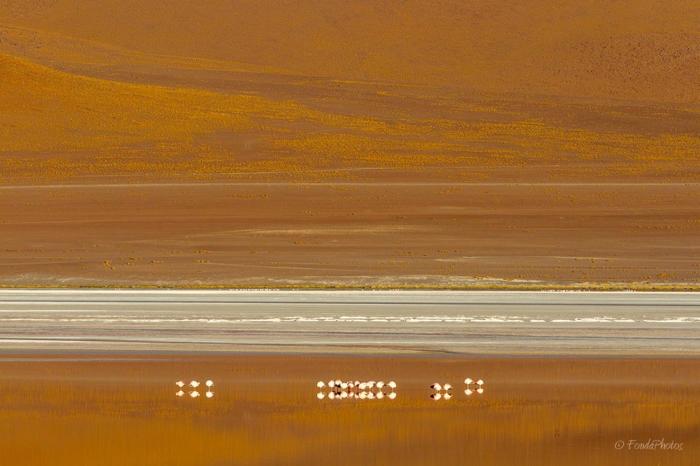 Laguna Colorada, Bolivie