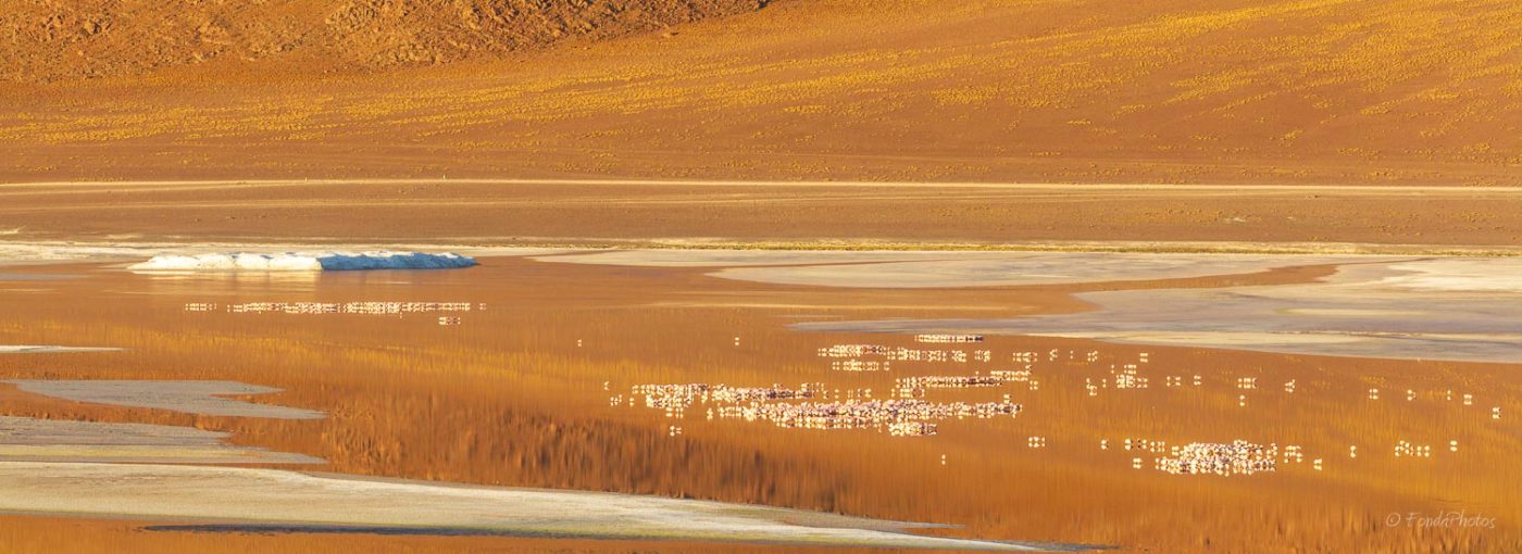 Laguna Colorada, Bolivie
