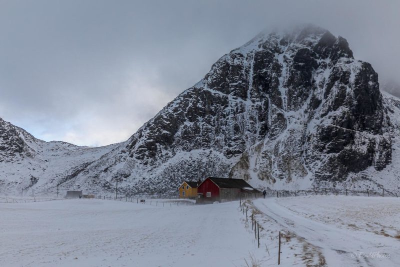 Red rorbu, Hamnoy, Lofoten