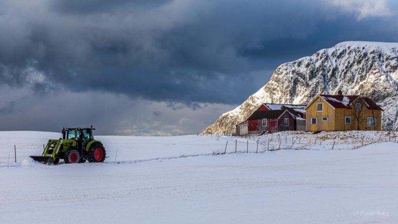 Red rorbu, Hamnoy, Lofoten