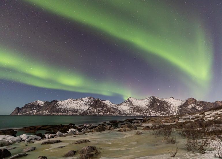Northern lights, Skagsanden beach, Lofoten