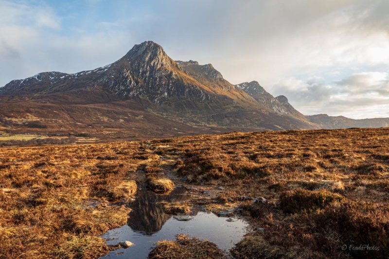 Ben Loyal, puddle reflection, square