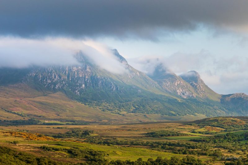 Ben Loyal, puddle reflection, square