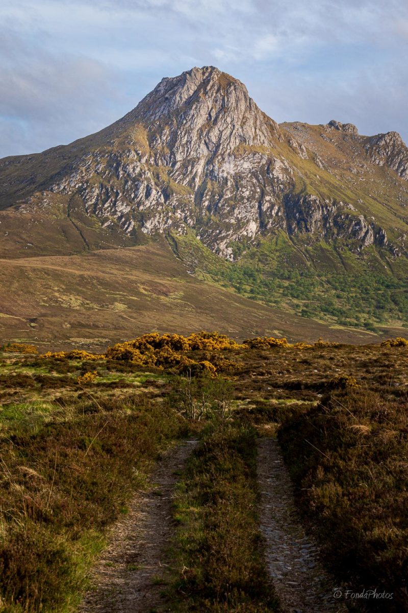 Ben Loyal, puddle reflection, square