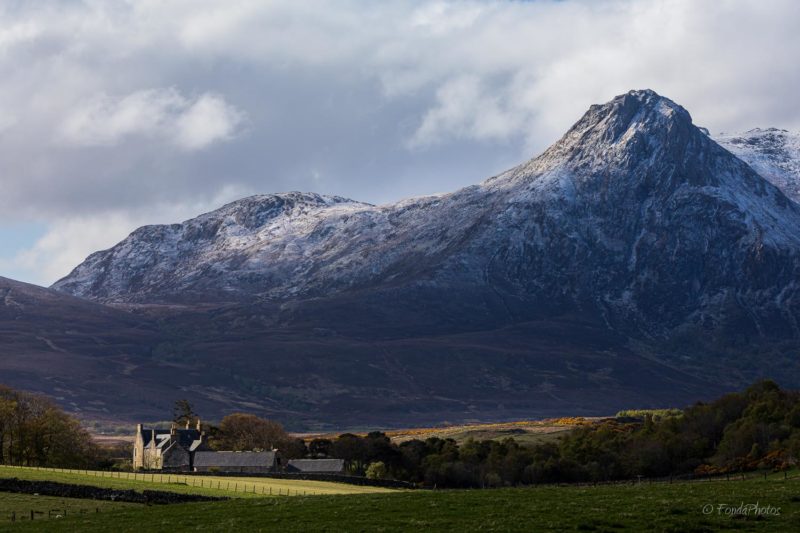 Ben Loyal, puddle reflection, square