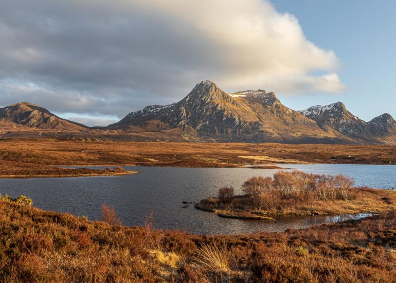 Ben Loyal, puddle reflection, square