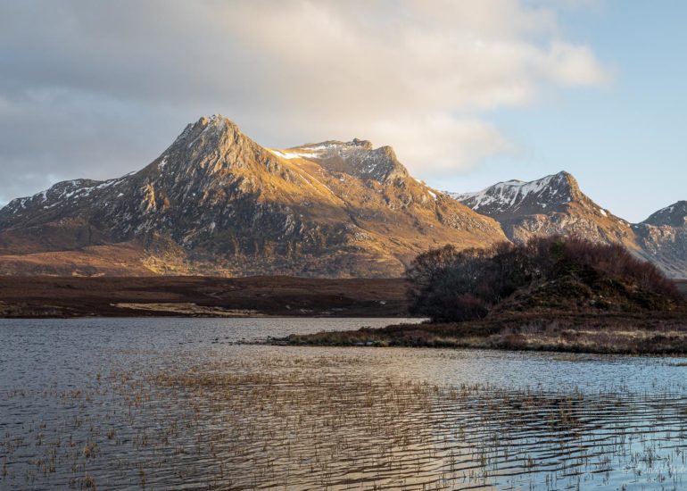Ben Loyal, puddle reflection, square
