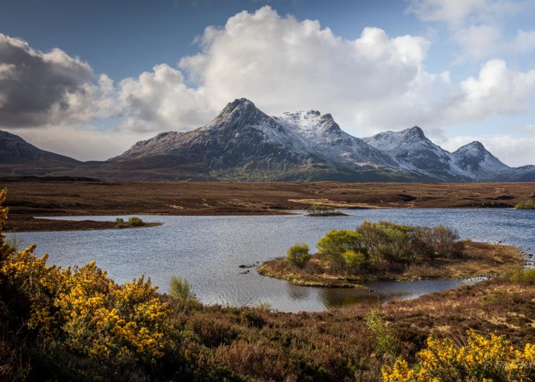 Ben Loyal, puddle reflection, square