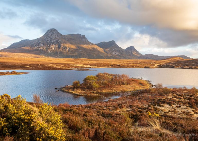 Ben Loyal, puddle reflection, square