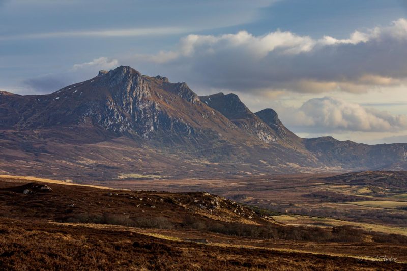 Ben Loyal, puddle reflection, square