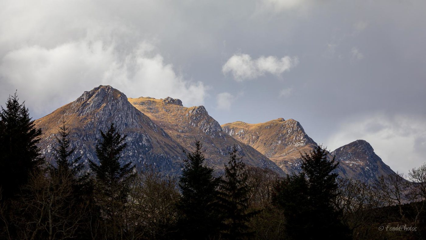 Ben Loyal, puddle reflection, square