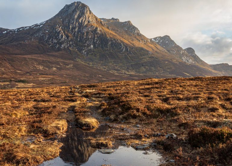 Ben Loyal, puddle reflection, square