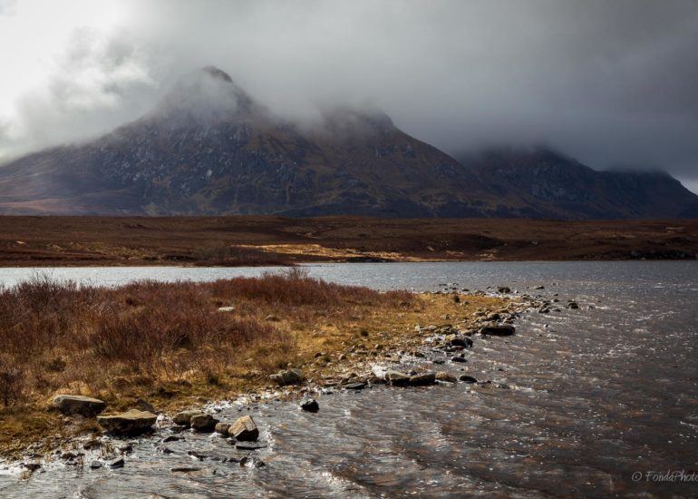 Ben Loyal, puddle reflection, square