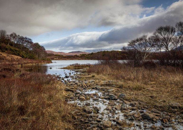 Ben Loyal, puddle reflection, square