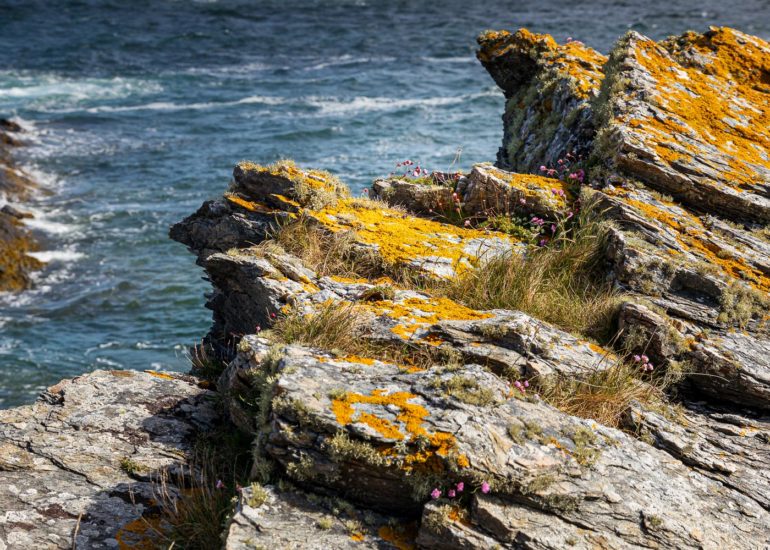 Kyle of Tongue and Castle Varich in Winter