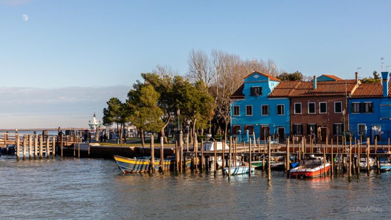 Gondolas in the Giudecca Canal, Venice