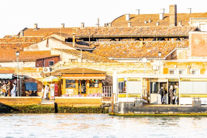 Gondolas in the Giudecca Canal, Venice
