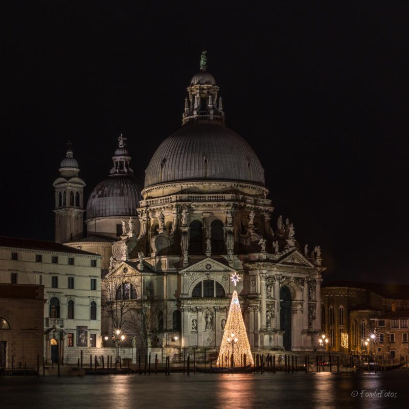 Gondolas in the Giudecca Canal, Venice