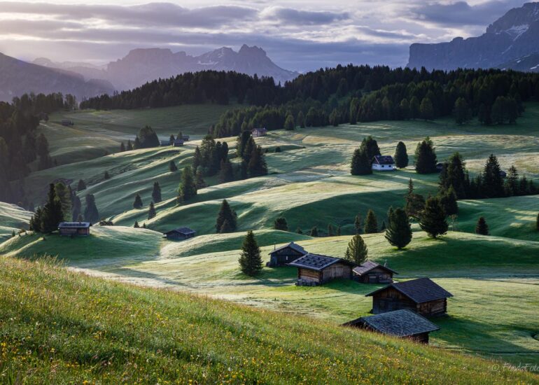 Alpe di Siusi, early morning, square format