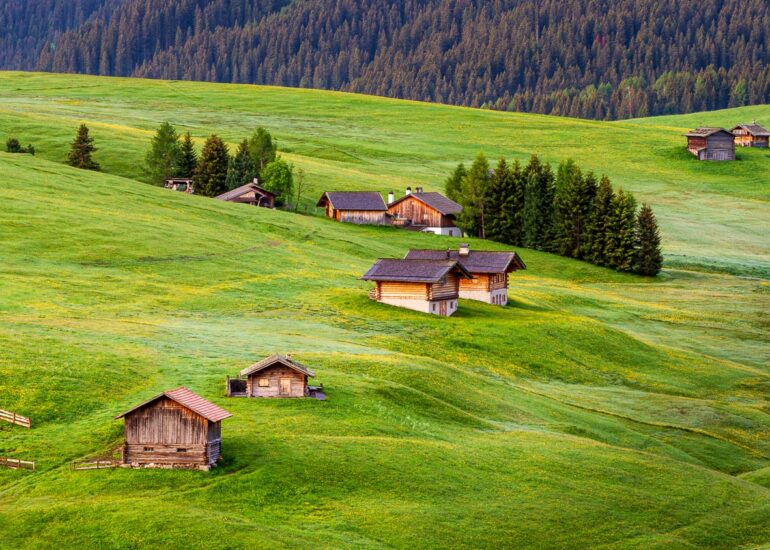 Alpe di Siusi, early morning, square format