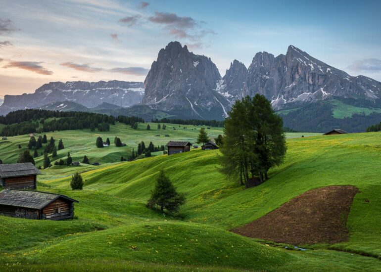 Alpe di Siusi, early morning, square format