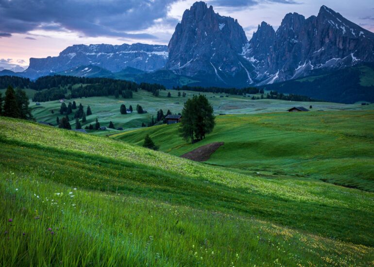 Alpe di Siusi, early morning, square format