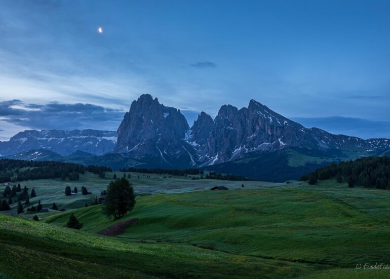 Alpe di Siusi, early morning, square format