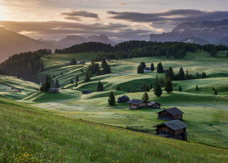 Alpe di Siusi, early morning, square format