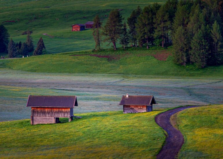 Alpe di Siusi, early morning, square format