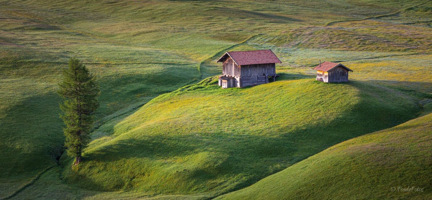 Alpe di Siusi, early morning, square format