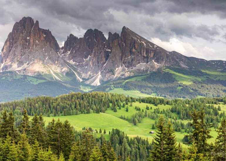 Alpe di Siusi, early morning, square format