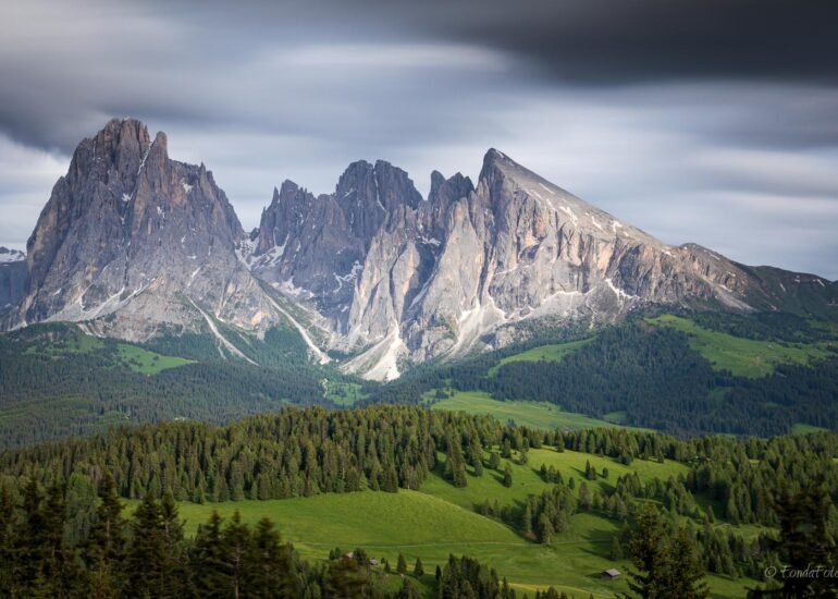 Alpe di Siusi, early morning, square format