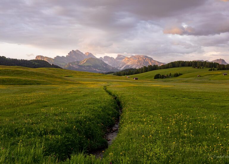 Alpe di Siusi, early morning, square format