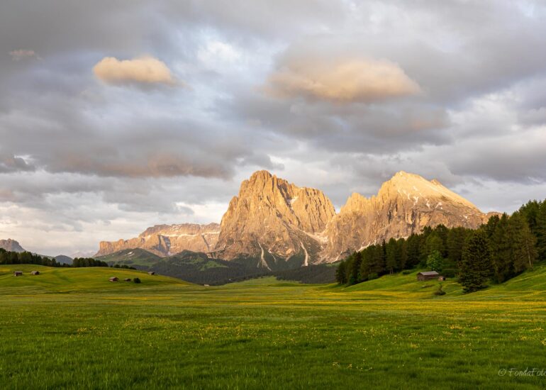 Alpe di Siusi, early morning, square format